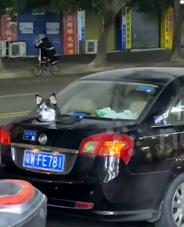 WTF Did I Just See?!