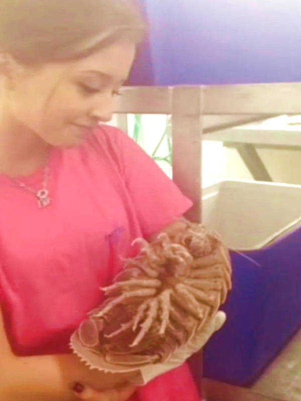 wtf did i just see 52 pics 4.html - 52 HD Photos | Premium Gallery 2026