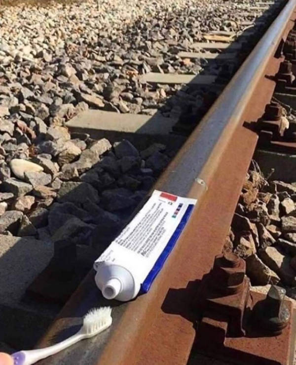 wtf did i just see 52 pics 4.html - 52 HD Photos | Premium Gallery 2026