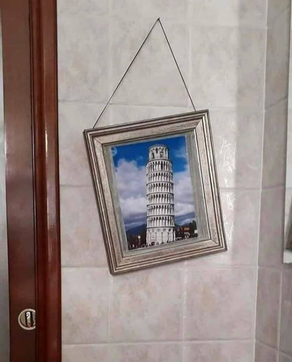 wtf did i just see 52 pics 4.html - 52 HD Photos | Premium Gallery 2026