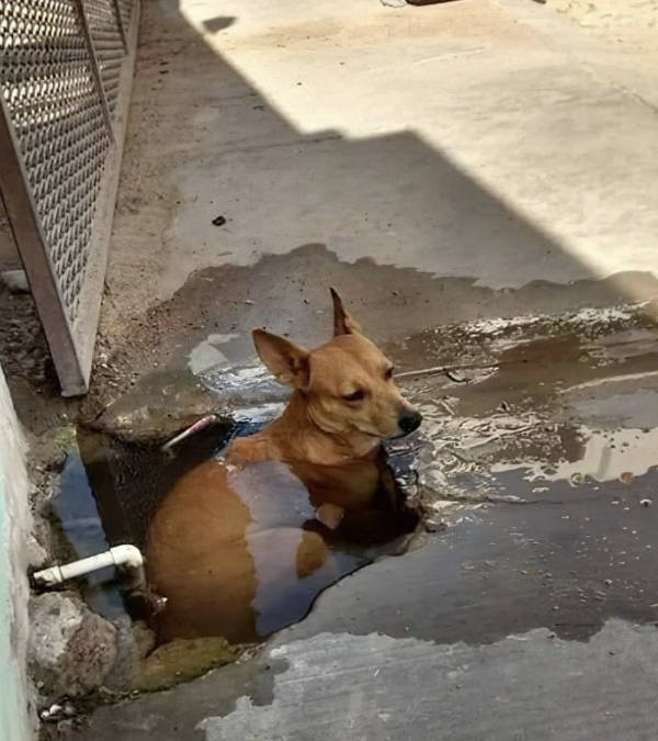 wtf did i just see 52 pics 4.html - 52 HD Photos | Premium Gallery 2026