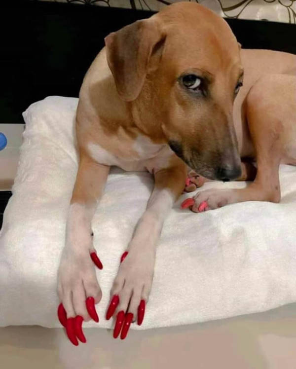 wtf did i just see 52 pics 4.html - 52 HD Photos | Premium Gallery 2026