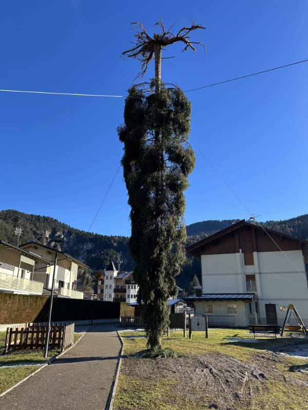 wtf did i just see 52 pics 4.html - 52 HD Photos | Premium Gallery 2026