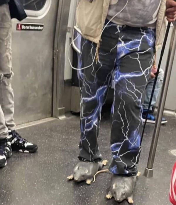 wtf did i just see 52 pics 4.html - 52 HD Photos | Premium Gallery 2026