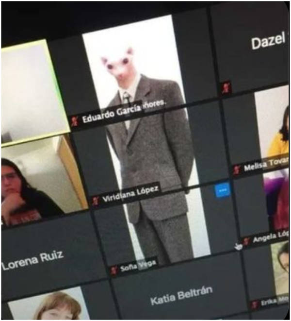 wtf did i just see 52 pics 4.html - 52 HD Photos | Premium Gallery 2026