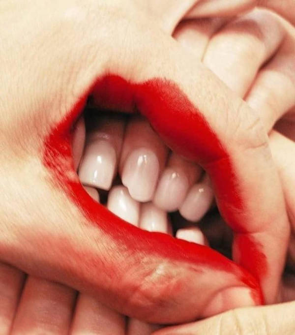 wtf did i just see 52 pics 4.html - 52 HD Photos | Premium Gallery 2026