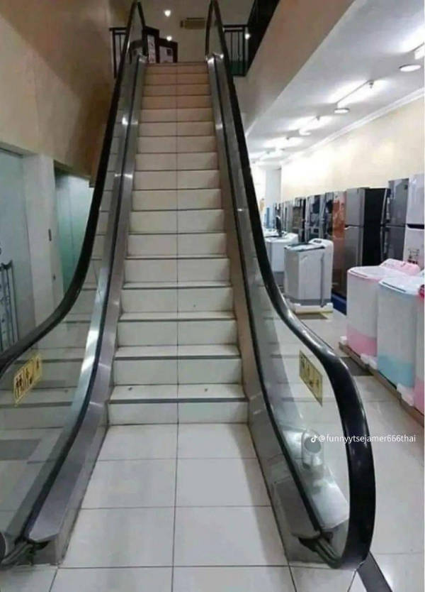 wtf did i just see 52 pics 4.html - 52 HD Photos | Premium Gallery 2026