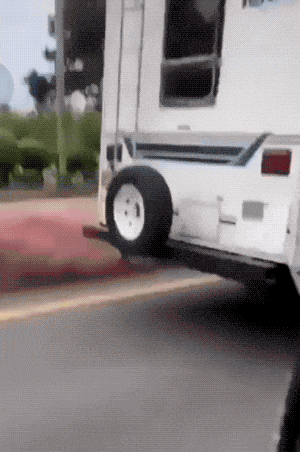 daily gifdump 34 gifs 13.html - 1 HD GIF | Premium Gallery 2026