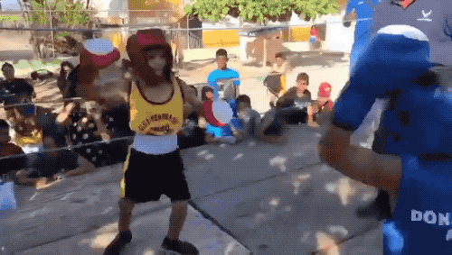 daily gifdump 34 gifs 13.html - 1 HD GIF | Premium Gallery 2026