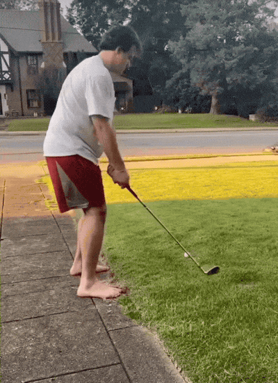 daily gifdump 34 gifs 13.html - 1 HD GIF | Premium Gallery 2026