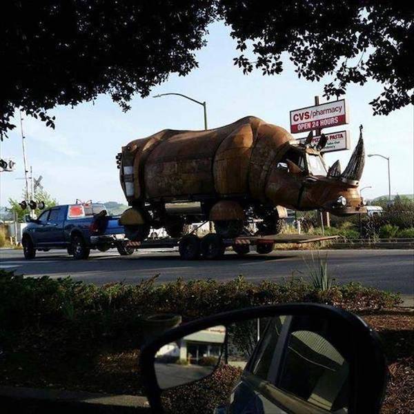 daily picdump 45 pics 21.html - 45 HD Photos | Premium Gallery 2026