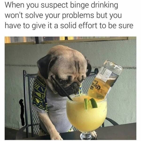 Drinking Never Ends!