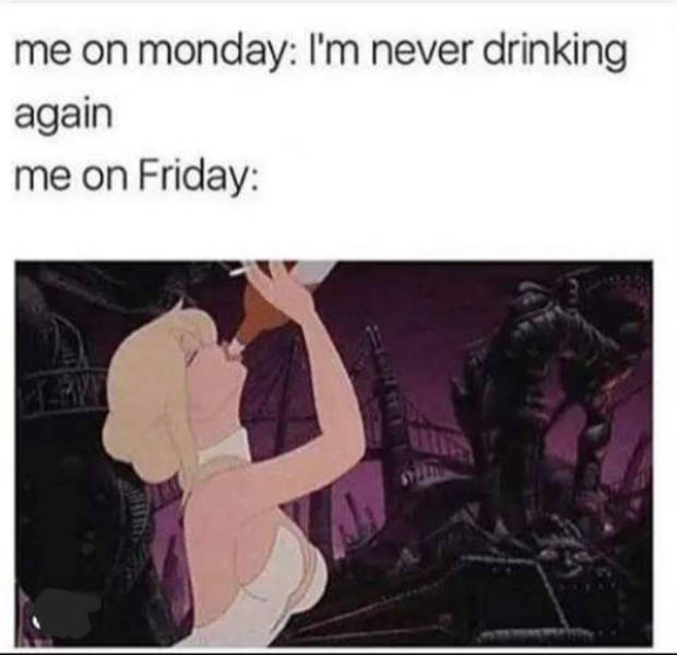 drinking never ends 37 pics 13.html - 37 HD Photos | Premium Gallery 2026