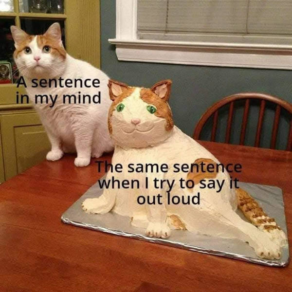 Random Memes Because Why Not