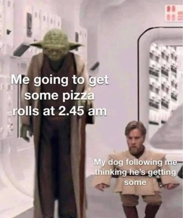 Random Memes Because Why Not