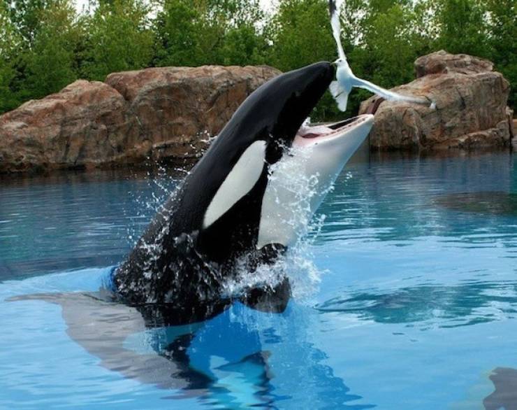 Seconds Before Everything Went Wrong