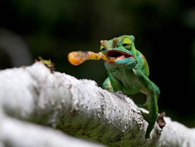 seconds before everything went wrong 37 pics 14.html - 37 HD Photos | Premium Gallery 2026