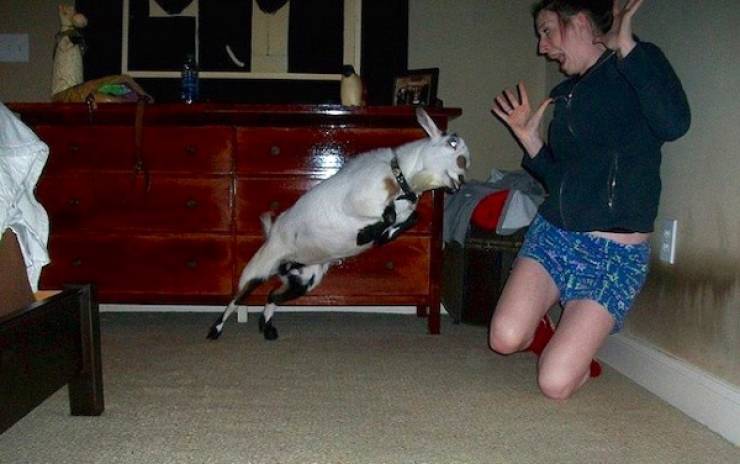 seconds before everything went wrong 37 pics 14.html - 37 HD Photos | Premium Gallery 2026