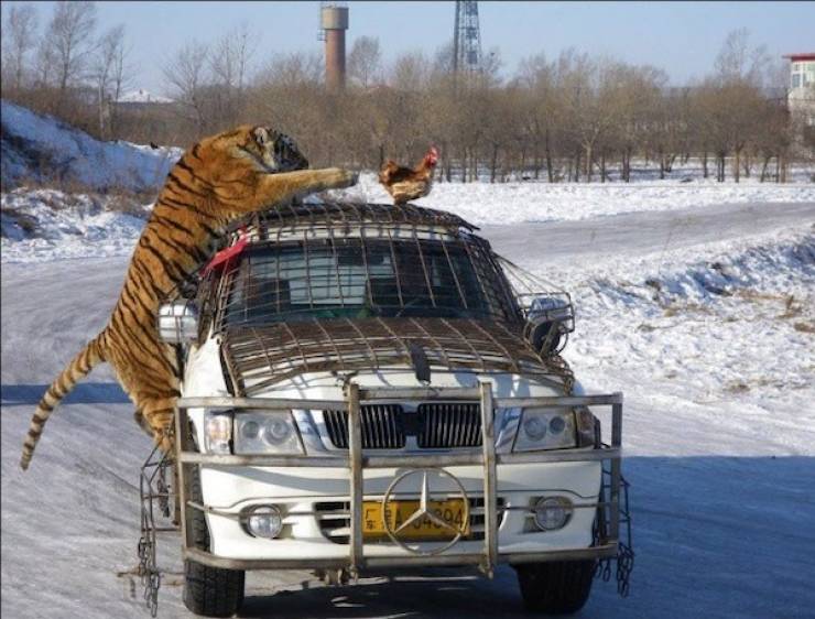 seconds before everything went wrong 37 pics 14.html - 37 HD Photos | Premium Gallery 2026