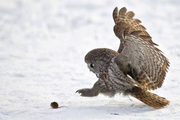 seconds before everything went wrong 37 pics 14.html - 37 HD Photos | Premium Gallery 2026