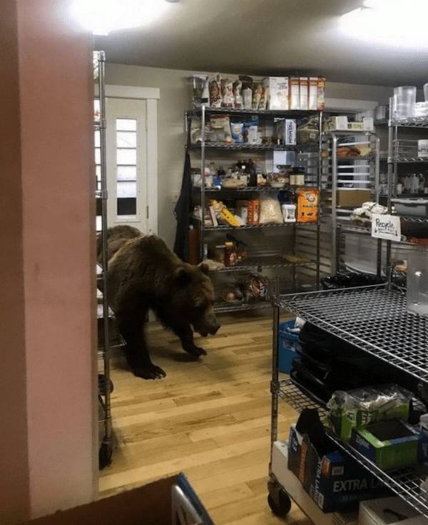 Seconds Before Everything Went Wrong