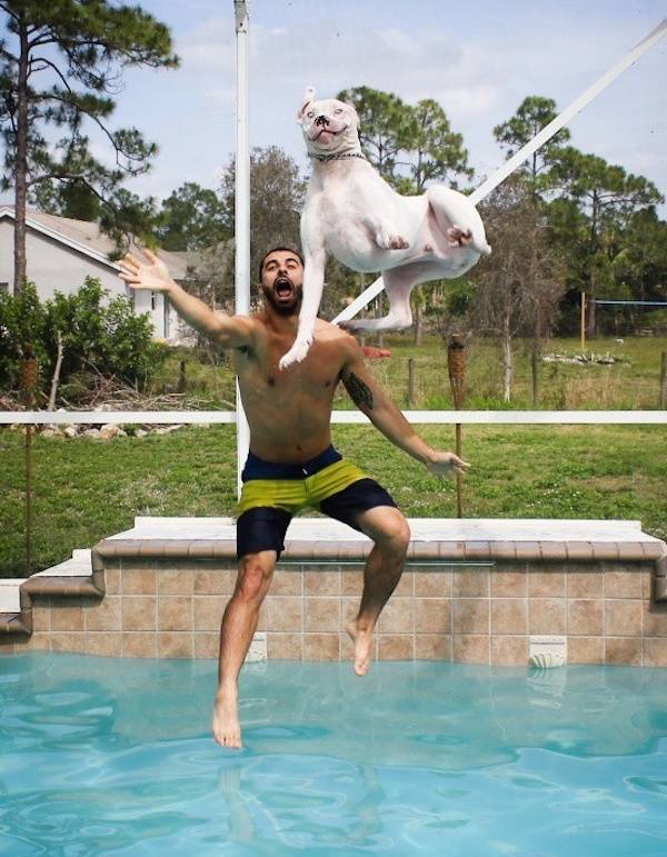 seconds before everything went wrong 37 pics 14.html - 37 HD Photos | Premium Gallery 2026