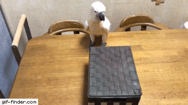 daily gifdump 46 gifs 6.html - 1 HD GIF | Premium Gallery 2026