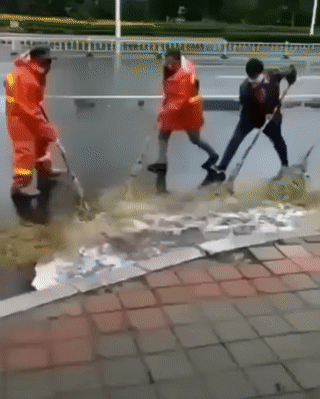 daily gifdump 46 gifs 6.html - 1 HD GIF | Premium Gallery 2026