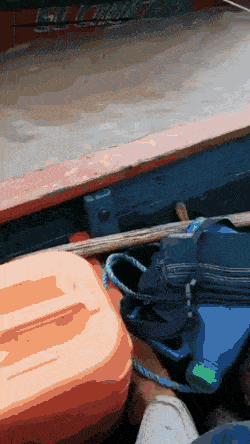 daily gifdump 46 gifs 6.html - 1 HD GIF | Premium Gallery 2026