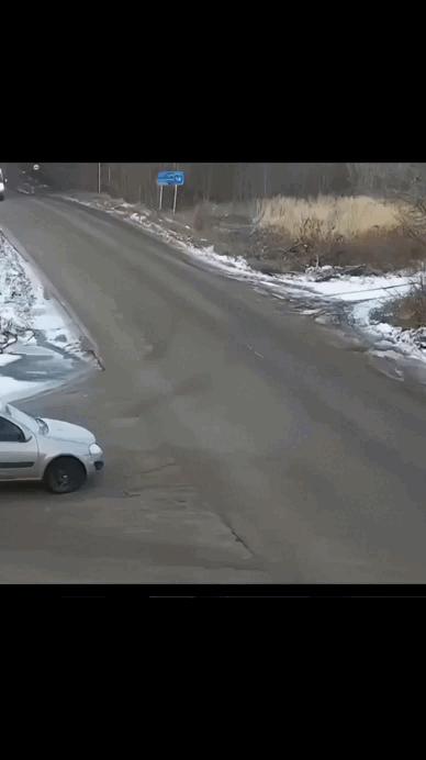 daily gifdump 46 gifs 6.html - 1 HD GIF | Premium Gallery 2026