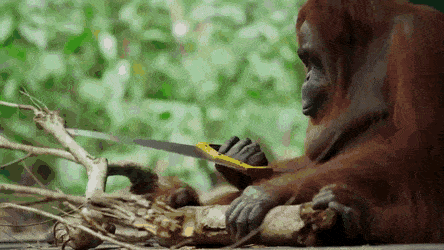 daily gifdump 46 gifs 6.html - 1 HD GIF | Premium Gallery 2026