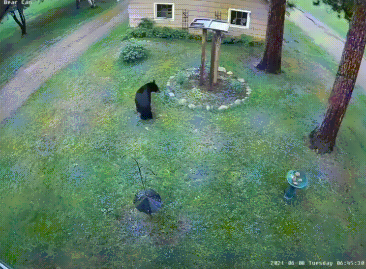 daily gifdump 46 gifs 6.html - 1 HD GIF | Premium Gallery 2026