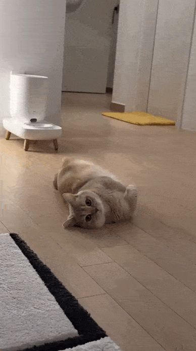 daily gifdump 46 gifs 6.html - 1 HD GIF | Premium Gallery 2026