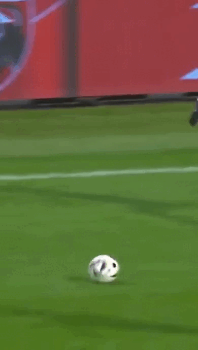 daily gifdump 46 gifs 6.html - 1 HD GIF | Premium Gallery 2026