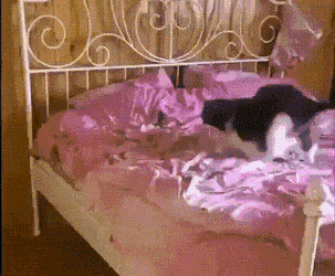 daily gifdump 46 gifs 6.html - 1 HD GIF | Premium Gallery 2026