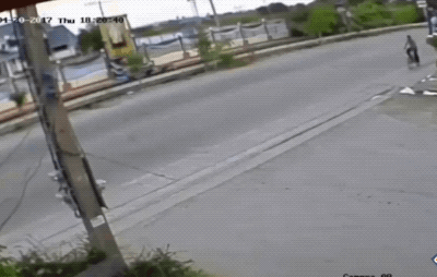 daily gifdump 46 gifs 6.html - 1 HD GIF | Premium Gallery 2026