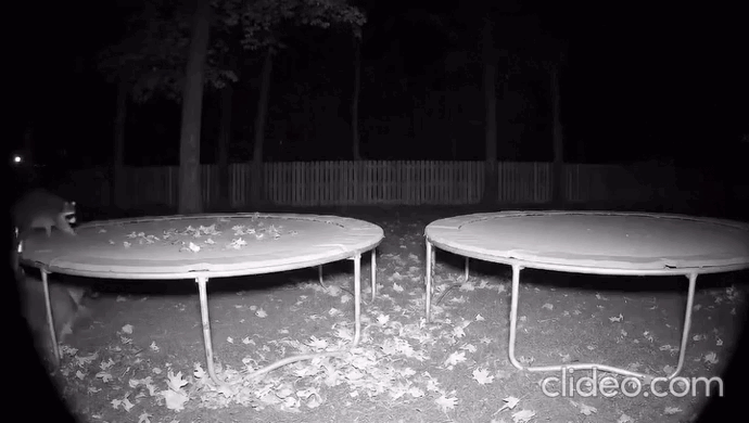 daily gifdump 46 gifs 6.html - 1 HD GIF | Premium Gallery 2026