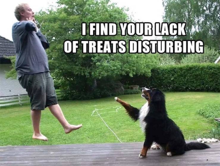 daily picdump 41 pics 21.html - 41 HD Photos | Premium Gallery 2026