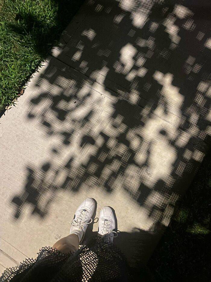 reallife moments that looked like a matrix glitch 56 pics 15.html - 56 HD Photos | Premium Gallery 2026