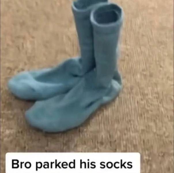 The Funniest Dumb Pics on the Internet