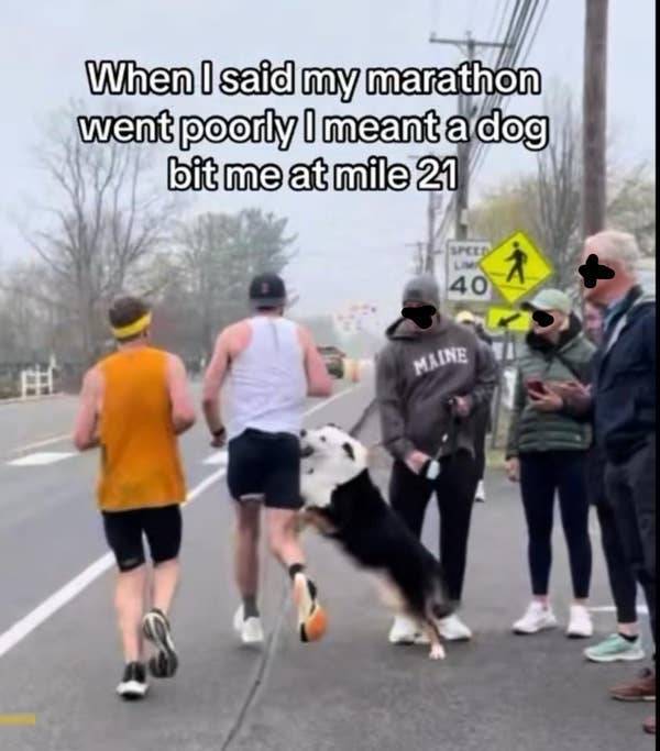 The Funniest Dumb Pics on the Internet