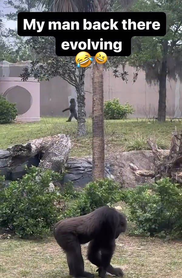 the funniest dumb pics on the internet 33 pics 10.html - 33 HD Photos | Premium Gallery 2026