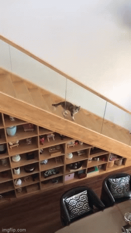 daily gifdump 45 gifs 1.html - 1 HD GIF | Premium Gallery 2026