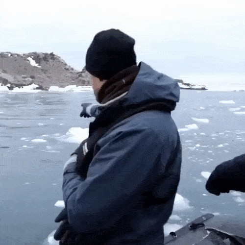 daily gifdump 45 gifs 1.html - 1 HD GIF | Premium Gallery 2026