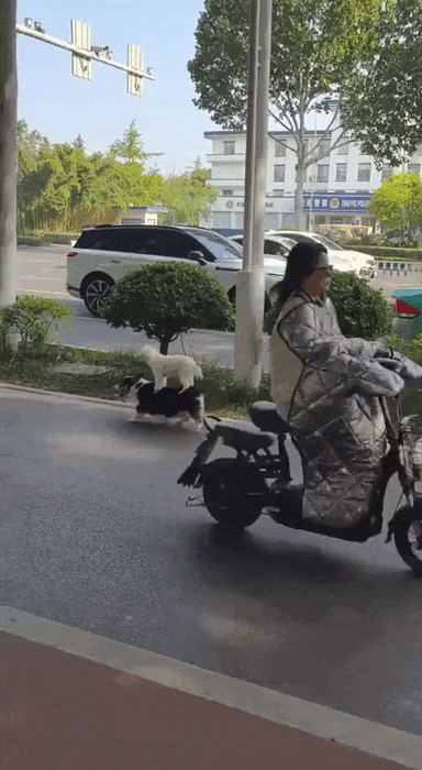 daily gifdump 45 gifs 1.html - 1 HD GIF | Premium Gallery 2026