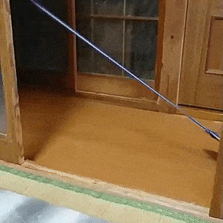 daily gifdump 45 gifs 1.html - 1 HD GIF | Premium Gallery 2026