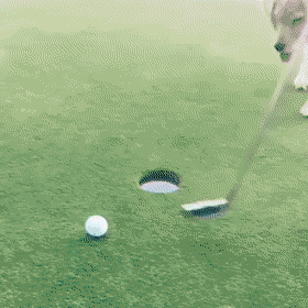 daily gifdump 45 gifs 1.html - 1 HD GIF | Premium Gallery 2026