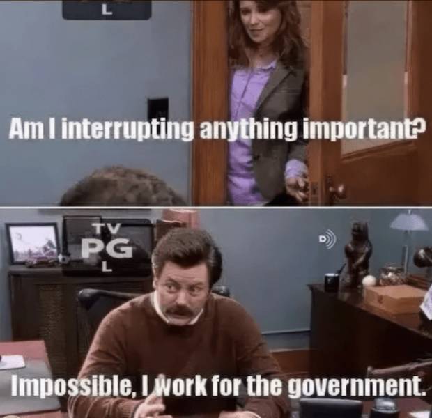 Absolutely No Thoughts, Just Memes