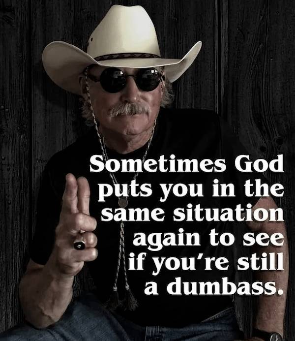 Absolutely No Thoughts, Just Memes