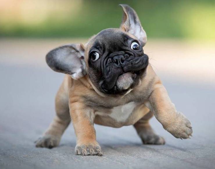 daily picdump 40 pics 9.html - 40 HD Photos | Premium Gallery 2026